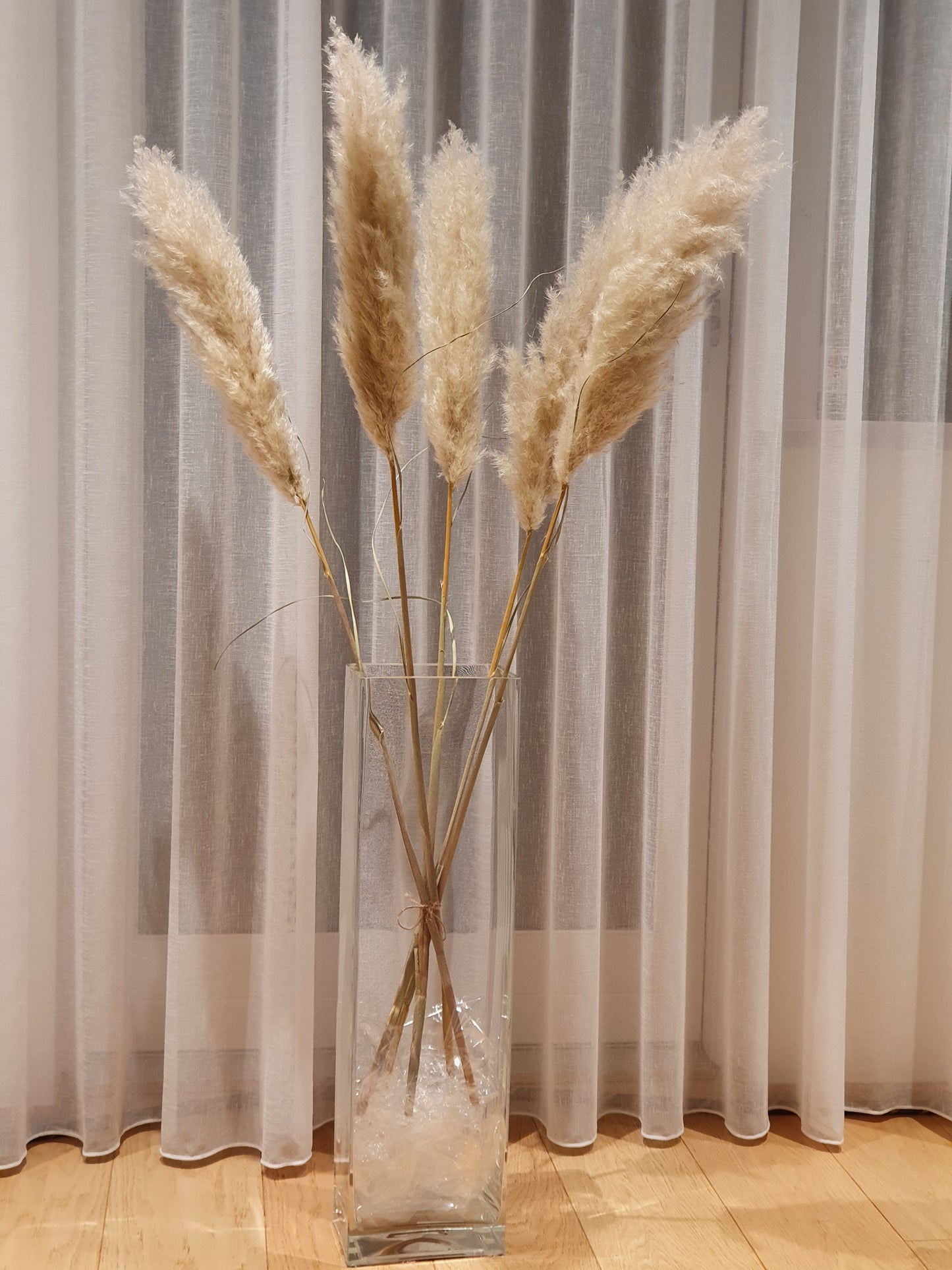 Cortaderia plum búnt - 115 cm - Natural