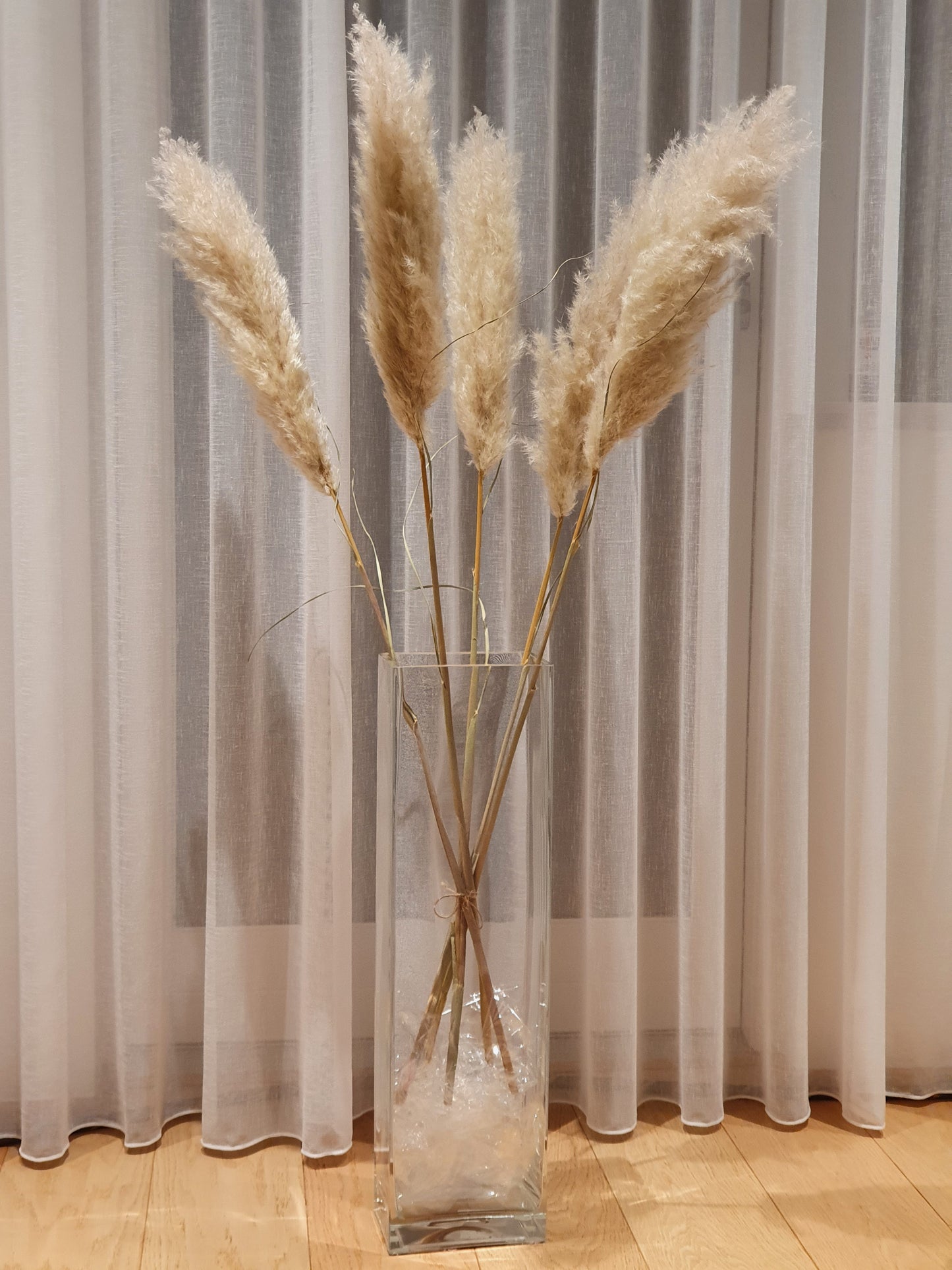 Cortaderia plum búnt - 115 cm - Natural