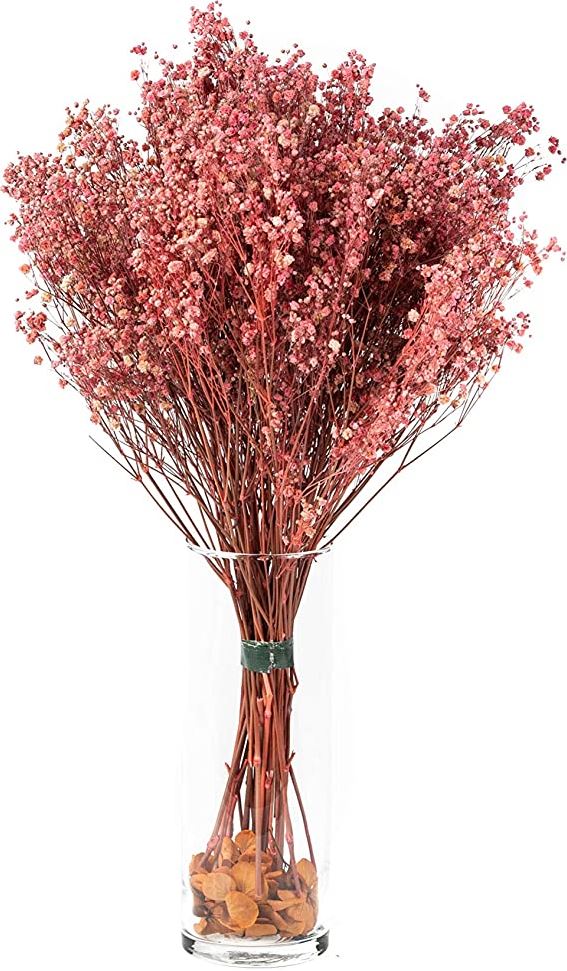Gypsophila preserved SB Pink
